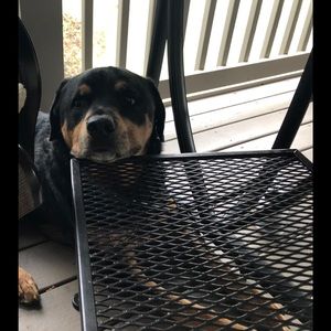 Meet your Posher, Diane